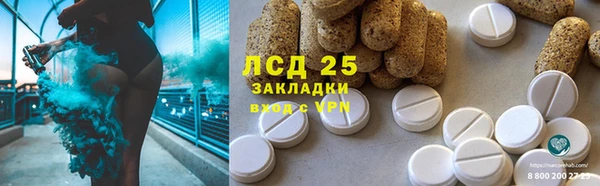 гидра Надым