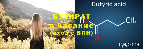 гидра Надым