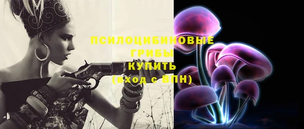 гидра Надым