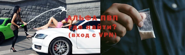 гидра Надым