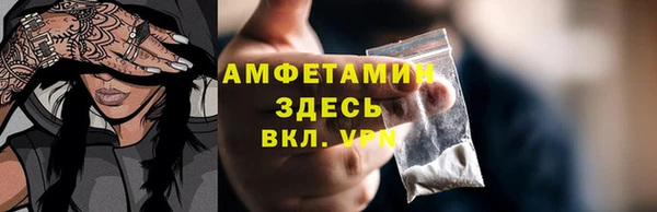 гидра Надым