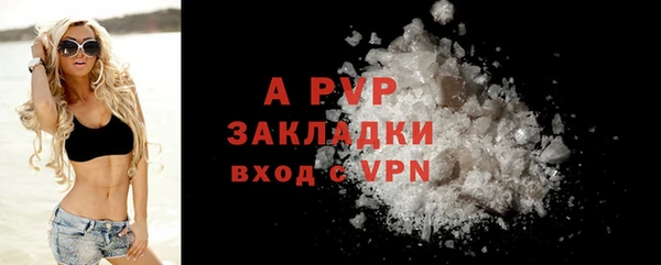 гидра Надым