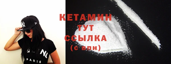гидра Надым