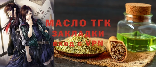 гидра Надым