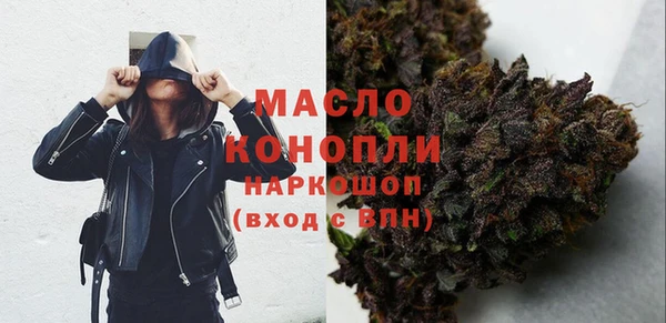 гидра Надым
