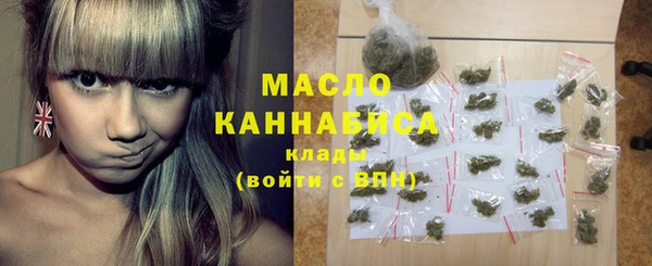 гидра Надым