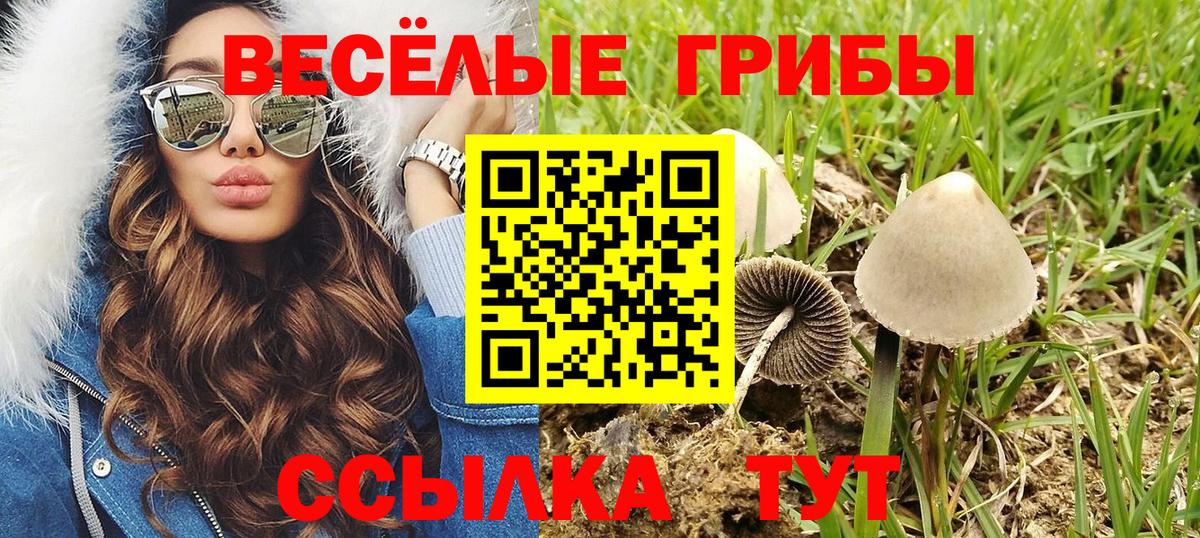 Галлюциногенные грибы Psilocybine cubensis Дубна