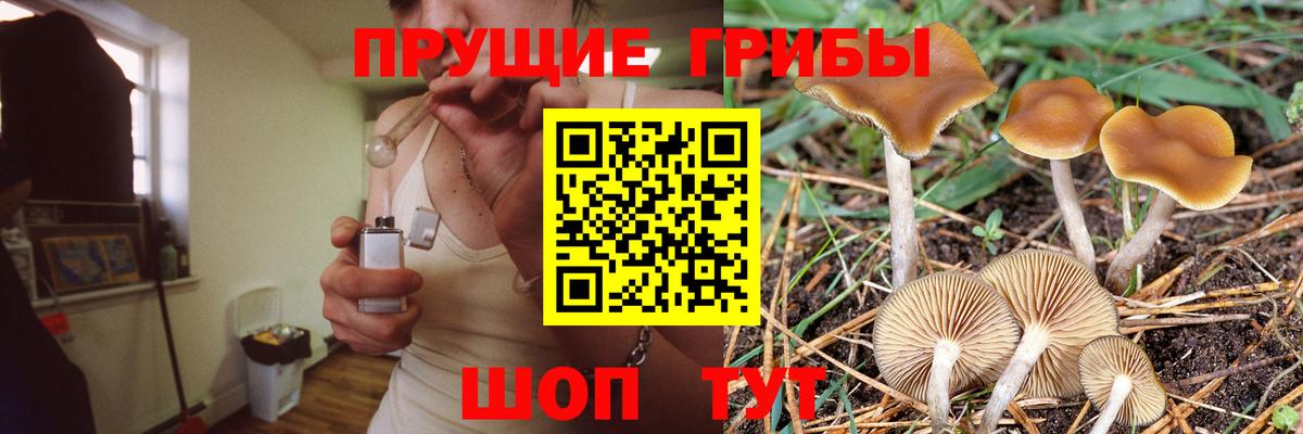 Галлюциногенные грибы ЛСД  Псилоцибиновые грибы GOLDEN TEACHER  Дубна  Вход с VPN 