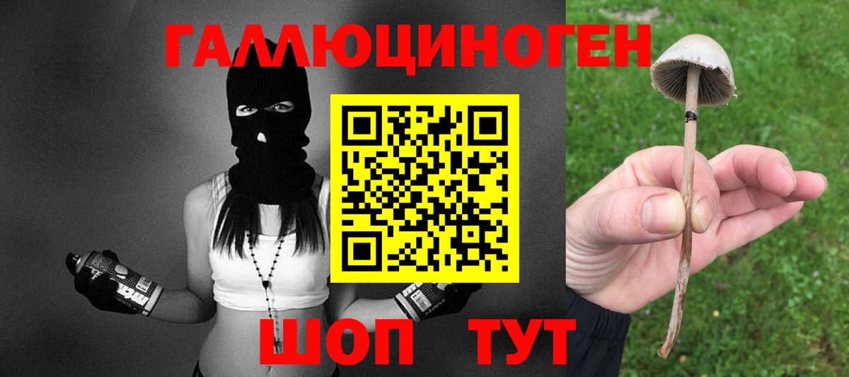 Псилоцибиновые грибы Cubensis  Псилоцибиновые грибы Magic Shrooms  что такое наркотик  Дубна 
